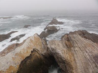 Bluff trail view