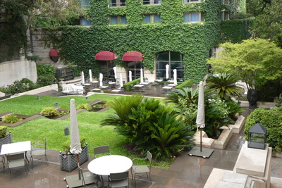 Park Hyatt garden